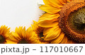 AIアート、向日葵の背景 117010667