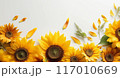 AIアート、向日葵の背景 117010669