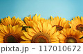 AIアート、向日葵の背景 117010672