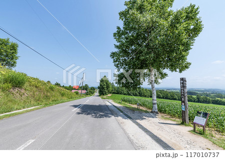 北海道上富良野町 かみふらの八景 夏のジェットコースターの路 北海道上富良野町 かみふらの八景 夏のジェットコースターの路 117010737