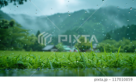梅雨シーズンの日本の山林の田舎の風景 117010859