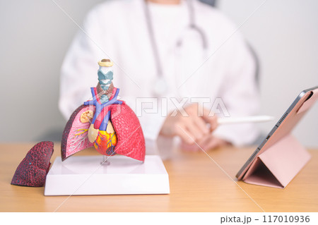 Doctor with heart Cardiovascular and Respiratory anatomy for Disease. Lung Cancer, Asthma, Chronic Obstructive Pulmonary or COPD, Bronchitis, Emphysema, Cystic Fibrosis, Bronchiectasis, Pneumonia Doctor with heart Cardiovascular and Respiratory anatomy for Disease. Lung Cancer, Asthma, Chronic Obstructive Pulmonary or COPD, Bronchitis, Emphysema, Cystic Fibrosis, Bronchiectasis, Pneumonia 117010936