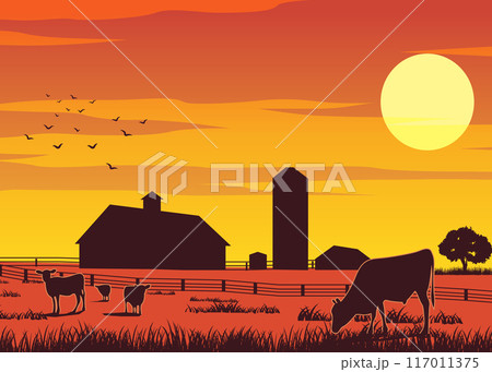 Silhouette design of farm while cows eating the grass on sunset time 117011375