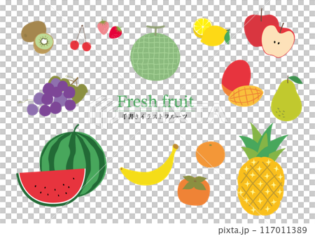 Hand-drawn set of various fruits 117011389