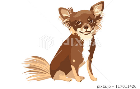 チョコレートタン柄チワワ(ハイオンタイプ)のリアルタッチなベクターイラスト チョコレートタン柄チワワ(ハイオンタイプ)のリアルタッチなベクターイラスト 117011426