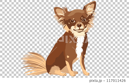 チョコレートタン柄チワワ(ハイオンタイプ)のリアルタッチなベクターイラスト チョコレートタン柄チワワ(ハイオンタイプ)のリアルタッチなベクターイラスト 117011426