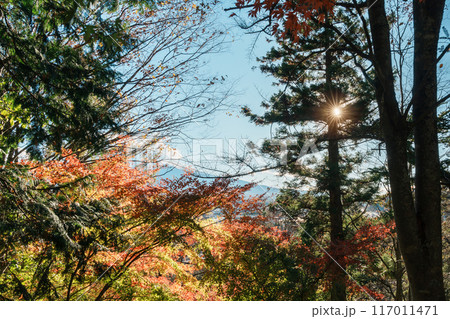 Mount Fuji view in Autumn season, colorful fall foliage leaves at Chureito Pagoda, Yamanashi, Japan. Landmark for tourists attraction. Japan Travel, Destination, Vacation and season change concept Mount Fuji view in Autumn season, colorful fall foliage leaves at Chureito Pagoda, Yamanashi, Japan. Landmark for tourists attraction. Japan Travel, Destination, Vacation and season change concept 117011471