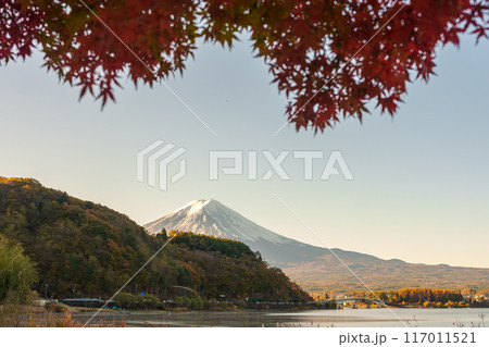 Mount Fuji view at Lake Kawaguchi in Autumn season. Mt Fujisan in Fujikawaguchiko, Yamanashi, Japan. Landmark for tourists attraction. Japan Travel, Destination, Vacation and Mount Fuji Day concept Mount Fuji view at Lake Kawaguchi in Autumn season. Mt Fujisan in Fujikawaguchiko, Yamanashi, Japan. Landmark for tourists attraction. Japan Travel, Destination, Vacation and Mount Fuji Day concept 117011521