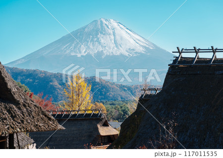 Mount Fuji view at Saiko Iyashino Sato Nenba in Autumn season. Mt Fujisan in Fujikawaguchiko, Yamanashi, Japan. Landmark for tourists attraction. Japan Travel, Destination, Vacation and Mount Fuji Day 117011535