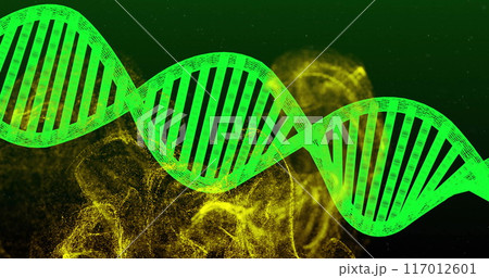 DNA strand and molecular structure image over green and yellow background 117012601