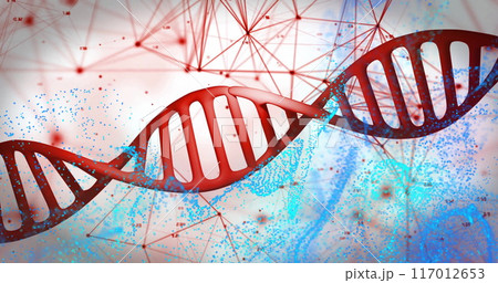 DNA strand and molecular structure image over blue and red background DNA strand and molecular structure image over blue and red background 117012653