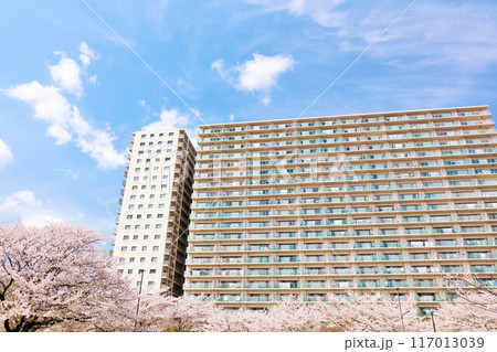 青空のマンションと桜 青空のマンションと桜 117013039