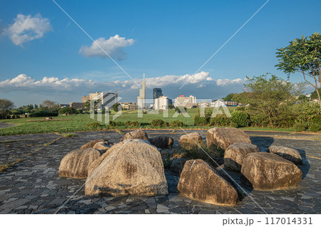 淀川河川公園枚方地区　枚方市　 117014331