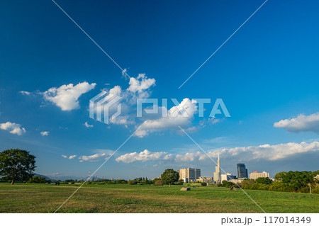 淀川河川公園枚方地区　枚方市　 117014349
