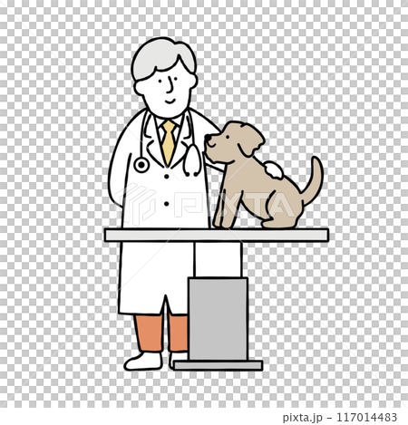 Vector illustration of a dog on an examination table and a male veterinarian examining him 117014483