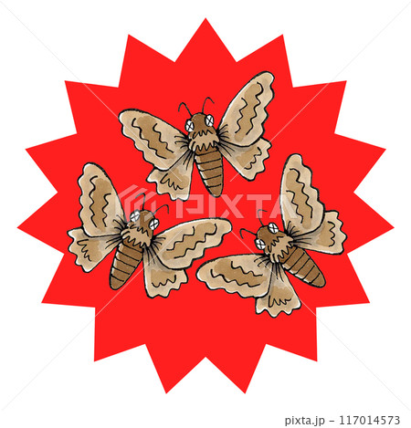 退治された蛾 117014573