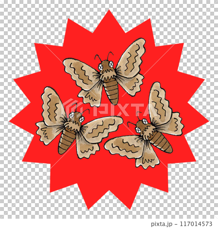 退治された蛾 117014573