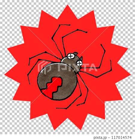 Redback spider exterminated 117014574