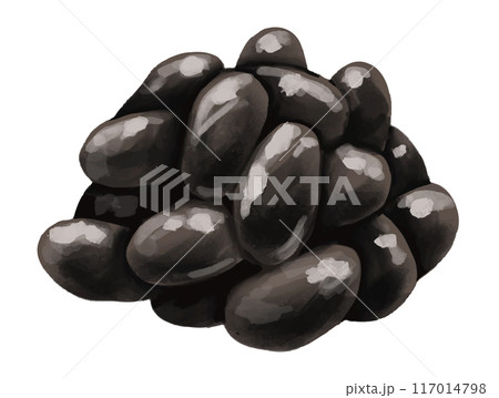 黒豆の水彩画風 手描きイラスト 117014798
