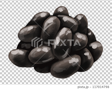 黒豆の水彩画風 手描きイラスト 117014798