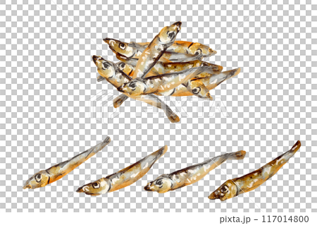 Tazukuri 水彩風格手繪插畫 117014800