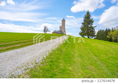 A gravel path leads to the Dalimil Lookout Tower in the Czech Republic. The tower stands tall against a backdrop of lush green grass and a blue sky with fluffy clouds. 117014876