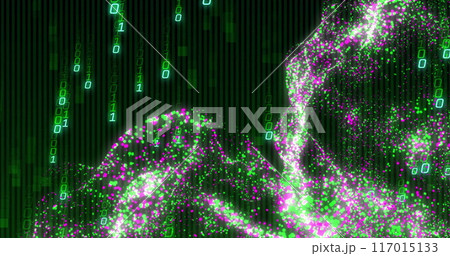 Image of data processing over binary coding and connections 117015133