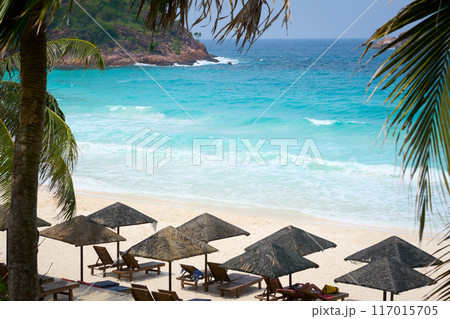 Turquoise sea waves crashing on idyllic tropical beach with palm trees and umbrellas Turquoise sea waves crashing on idyllic tropical beach with palm trees and umbrellas 117015705