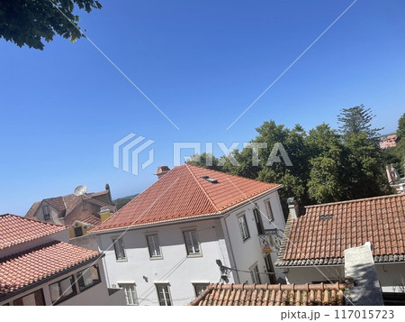 青空の下に広がるオレンジ屋根の街なみ 青空の下に広がるオレンジ屋根の街なみ 117015723