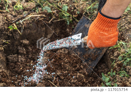 A gloved hand holds a shovel and fertilizes the ground before planting, autumn A gloved hand holds a shovel and fertilizes the ground before planting, autumn 117015754