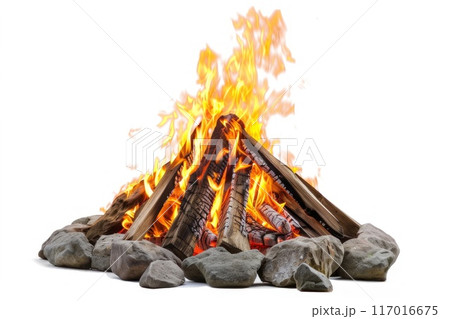Bonfire Isolated on White Background Concept Outdoor Campfire Illustration 117016675