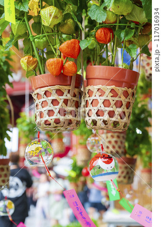 【夏の風物詩】四万六千日・ほおずき市（浅草寺） 117016934