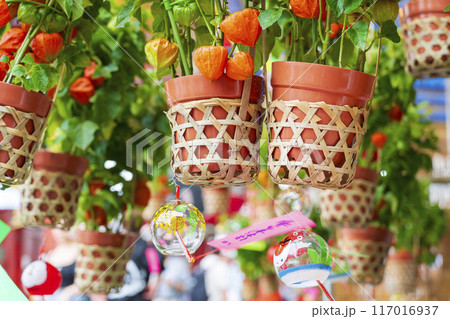 【夏の風物詩】四万六千日・ほおずき市（浅草寺） 117016937