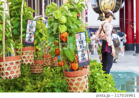 【夏の風物詩】四万六千日・ほおずき市（浅草寺） 117016961