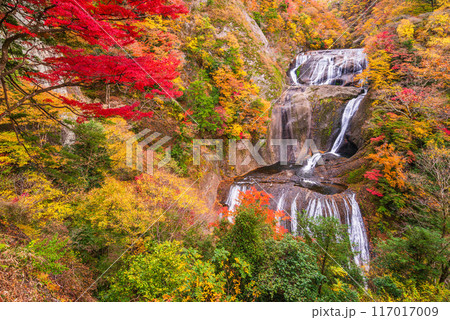 【茨城県】袋田の滝　紅葉 117017009