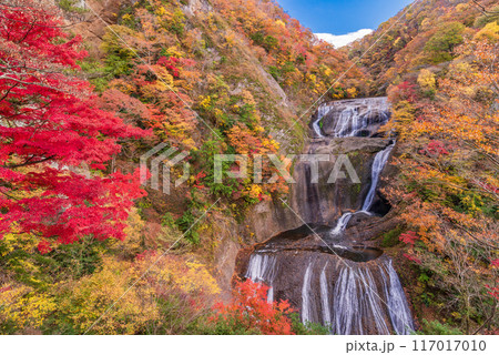 【茨城県】袋田の滝　紅葉 117017010