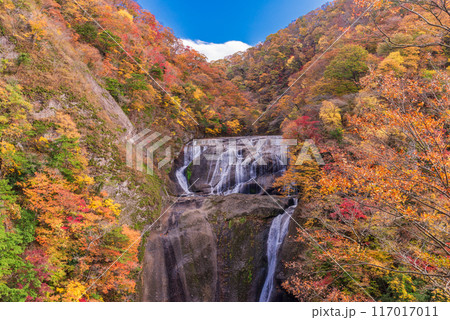 【茨城県】袋田の滝 紅葉 【茨城県】袋田の滝 紅葉 117017011