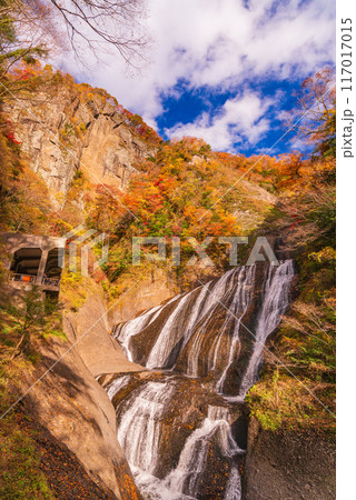 【茨城県】袋田の滝　紅葉 117017015