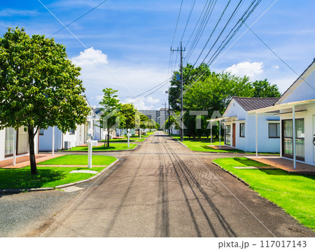 外国風の家並みが続く住宅街 東京 外国風の家並みが続く住宅街 東京 117017143