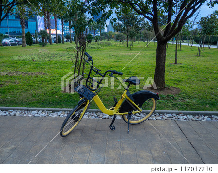 Bicycle rental in the park. Parked bike. Transport for rent. On a walk in the resort town. In the park of the southern city. 117017210