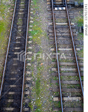 Old railway tracks. View from above. Railway in the moss. Road concept. Train station Old railway tracks. View from above. Railway in the moss. Road concept. Train station 117017241