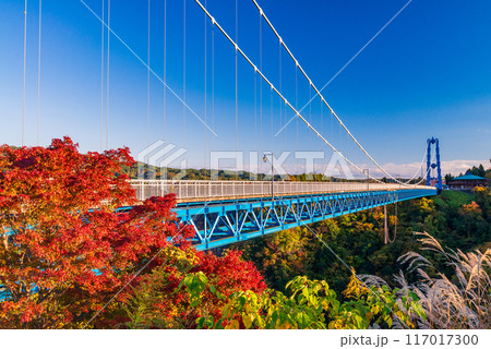 【茨城県】竜神大吊橋　紅葉 117017300