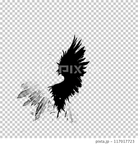 Black silhouette of wings on white background. Black silhouette of wings on white background. 117017723