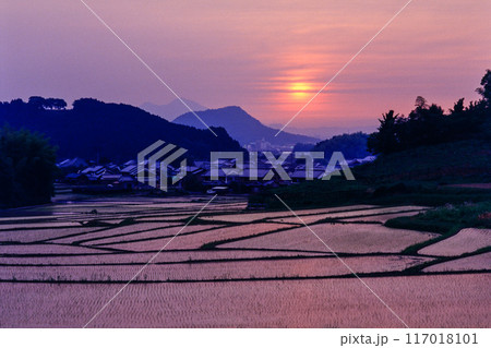 Ektachromeをデジタルに 明日香村小原の棚田と夕日 二上山 畝傍山 甘樫丘 1993年 Ektachromeをデジタルに 明日香村小原の棚田と夕日 二上山 畝傍山 甘樫丘 1993年 117018101