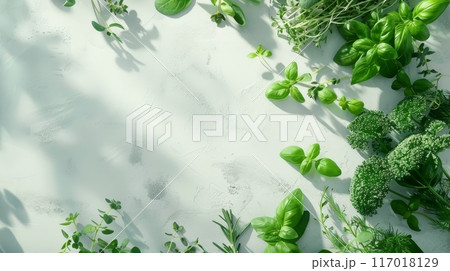 Fresh green herbs and microgreens banner Fresh green herbs and microgreens banner 117018129