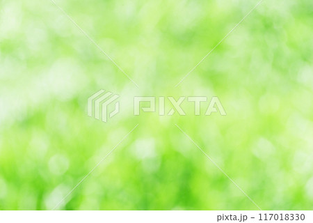 新緑　ボカシ　背景 117018330