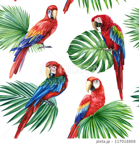 Red Macaw, Seamless Pattern watercolor tropical palm leaves, parrots birds isolated floral background, Tropic Patterns Red Macaw, Seamless Pattern watercolor tropical palm leaves, parrots birds isolated floral background, Tropic Patterns 117018808