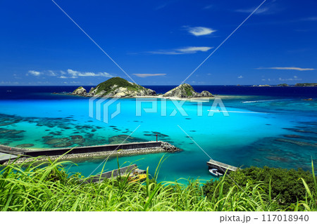 真夏の沖縄 渡嘉敷島の風景 阿波連ビーチ 真夏の沖縄 渡嘉敷島の風景 阿波連ビーチ 117018940