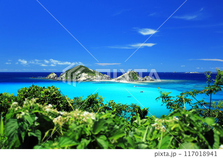 真夏の沖縄　渡嘉敷島の風景　阿波連ビーチ 117018941