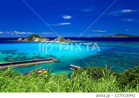 真夏の沖縄　渡嘉敷島の風景　阿波連ビーチ 117018942